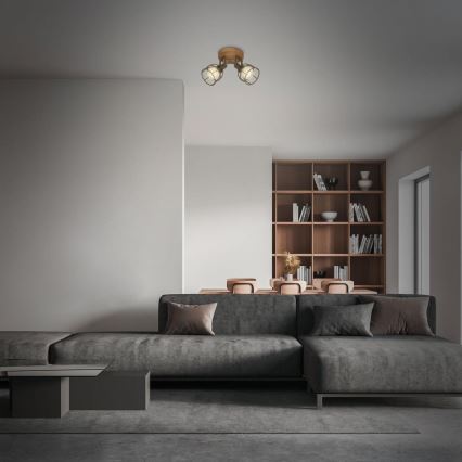 Brilo - Spotlight VINTAGE 2xE27/25W/230V brun