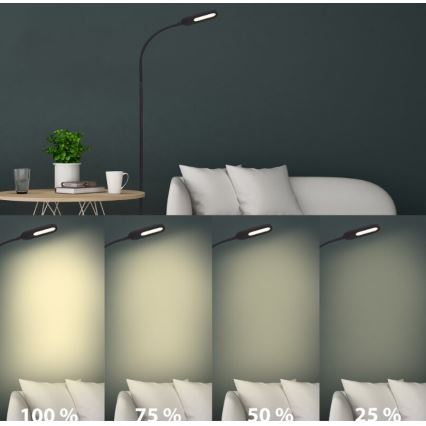 Briloner 1297-015 - LED Ljusreglerad flexibel golvlampa LED/6,6W/230V 3000K/4000K/6000K