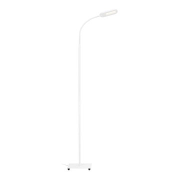 Briloner 1297-016 - LED Ljusreglerad beröring golvlampa LED/8W/230V 3000/4000/6000K