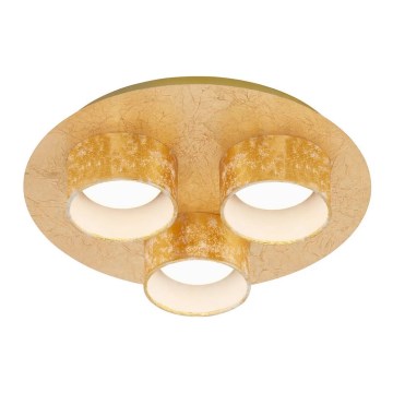 Briloner 2038-037 - LED Takbelysning PRO 3xLED/5W/230V guld