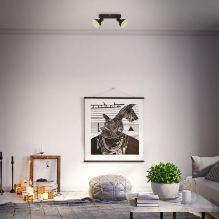 Briloner 2674-025 - Spotlight RETRO 2xE14/25W/230V svart