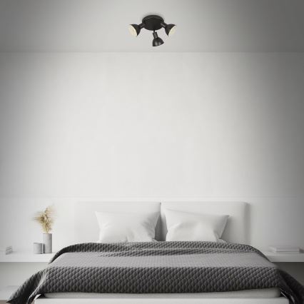 Briloner 2674-035 - Spotlight RETRO 3xE14/25W/230V svart