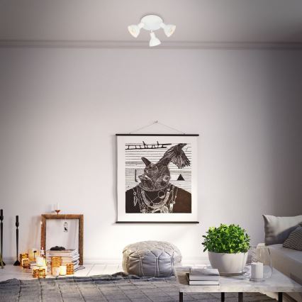 Briloner 2674-036 - Spotlight RETRO 3xE14/25W/230V vit