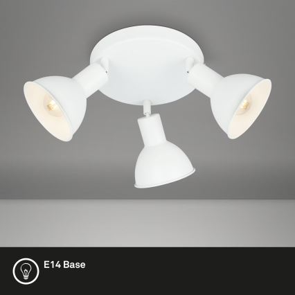 Briloner 2674-036 - Spotlight RETRO 3xE14/25W/230V vit