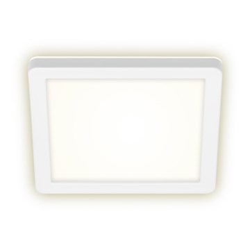 Briloner 3010-016 - LED taklampa LED/8W/230V 19x19 cm vit IP44