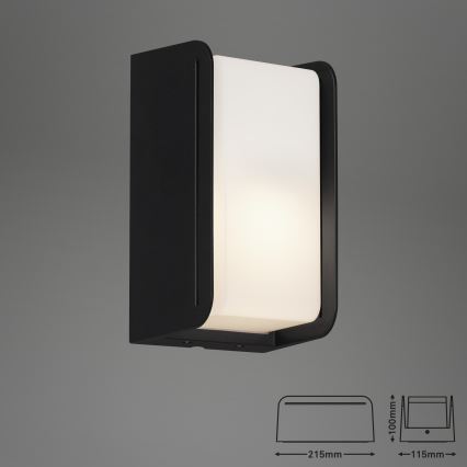 Briloner 3016-015 - Vägglampa för utomhusbruk BOKS 1xE27/12W/230V IP44