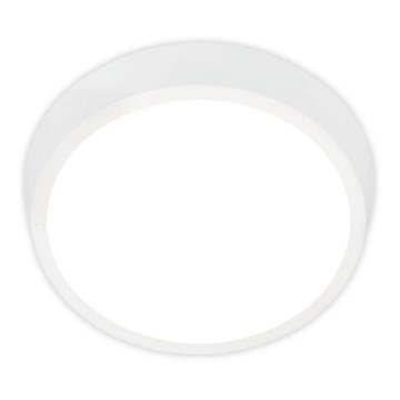 Briloner 3018-016 - LED taklampa för utomhusbruk HAGEN LED/24W/230V 4000K IP44 vit