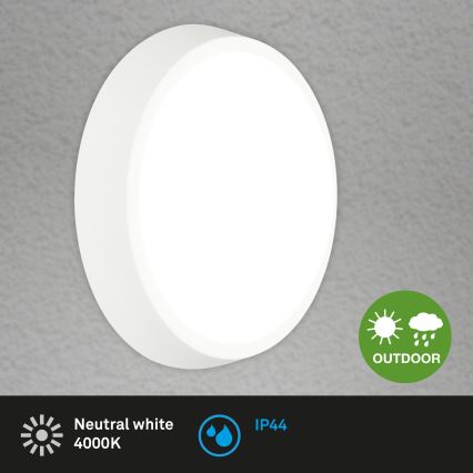 Briloner 3018-016 - LED taklampa för utomhusbruk HAGEN LED/24W/230V 4000K IP44 vit
