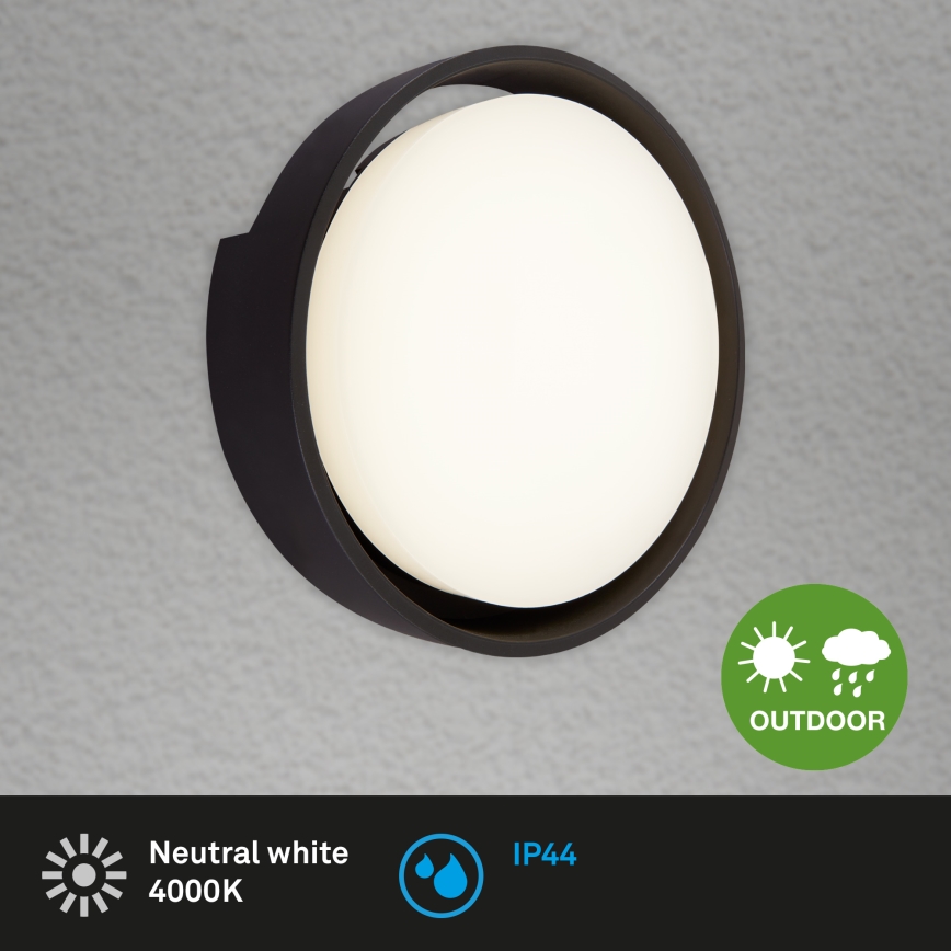 Briloner 3019-015 - LED vägglampa för utomhusbruk GENUA LED/18W/230V IP44 svart