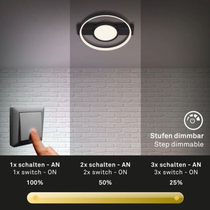 Briloner 3026-015 - LED Dimbar taklampa FRAME LED/33W/230V