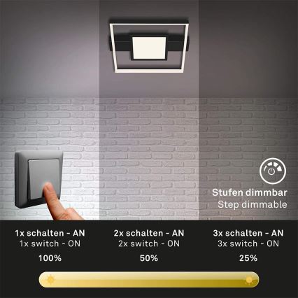 Briloner 3028-015 - LED Dimbar taklampa FRAME LED/38W/230V