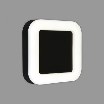 Briloner 3034-015 - LED vägglampa för utomhusbruk LED/15W/230V 4000K