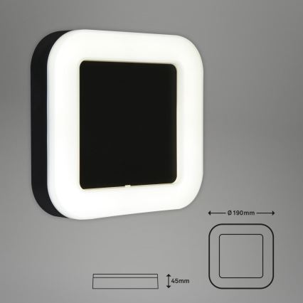 Briloner 3034-015 - LED vägglampa för utomhusbruk LED/15W/230V 4000K