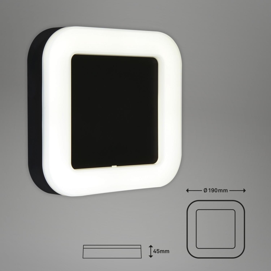 Briloner 3034-015 - LED vägglampa för utomhusbruk LED/15W/230V 4000K