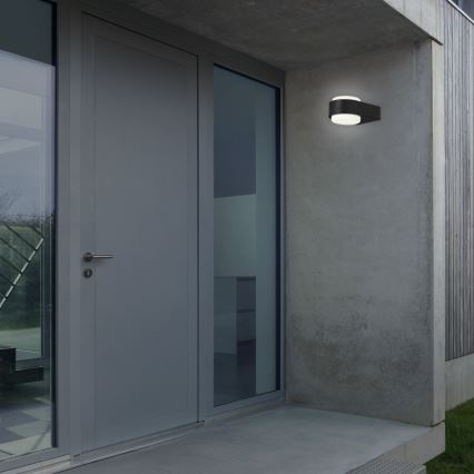 Briloner 3035-015 - LED vägglampa för utomhusbruk HANAU LED/6,5W/230V IP44 svart