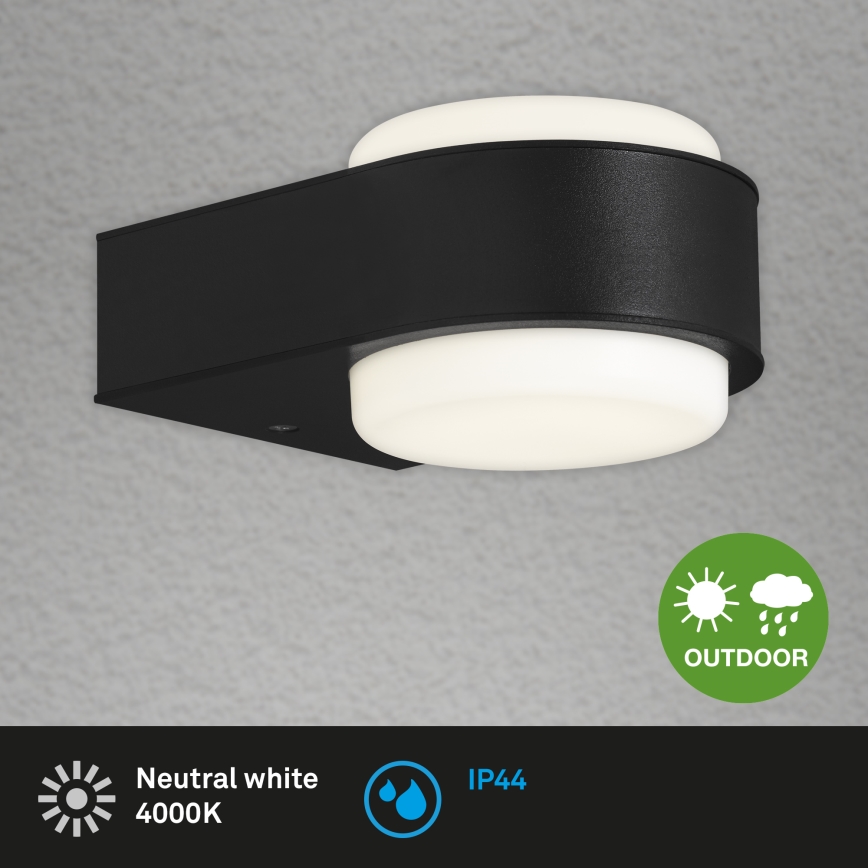Briloner 3035-015 - LED vägglampa för utomhusbruk HANAU LED/6,5W/230V IP44 svart