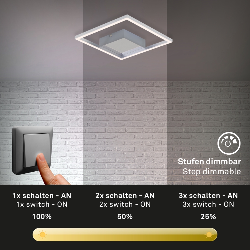 Briloner 3105-018 - LED ljusreglerad taklampa  FRAMES LED/9,7W/230V