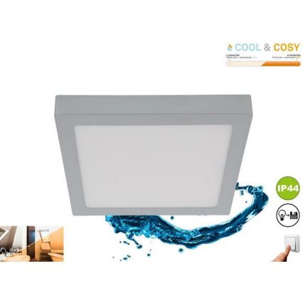 Briloner 3142-018 - LED taklampa för badrum COOL&COSY LED/21W/230V 2700/4000K IP44