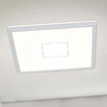Briloner 3174-014 - LED taklampa FREE LED/12W/230V 19x19 cm