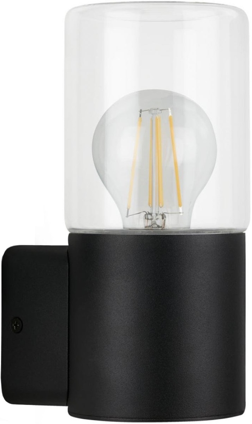 Briloner 320505TF - Vägglampa för utomhusbruk 1xE27/12W/230V IP44 svart