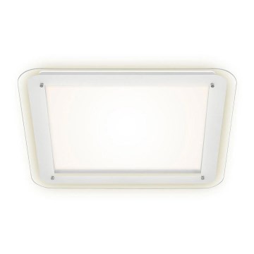 Briloner 3397-016 - LED taklampa FREE LED/22W/230V