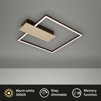 Briloner 3544-017 - LED Dimbar taklampa NICO LED/12W/230V guld