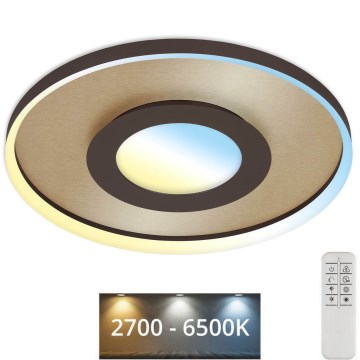 Briloner 3640017 - LED Dimbar taklampa FRAME LED/25W/230V 2700-6500K + fjärrkontroll