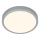 Briloner 3703-014 - LED taklampa RUNA LED/24W/230V 3000K diameter 38 cm silver