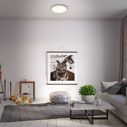 Briloner 3704-014-LED Dimbar taklampa RUNA LED/22W/230V 2700-6500K silver + fjärrkontroll
