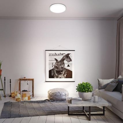 Briloner 3709-016 - LED RGBW Dimbar taklampa LED/22W/230V 4000K diameter 38 cm vit + fjärrkontroll