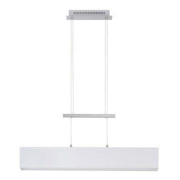 Briloner 4214-016 - LED Ljuskrona med snöre TELA 1xLED/20W/230V