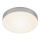 Briloner 7065-014 - LED taklampa FLAME LED/16W/230V silver