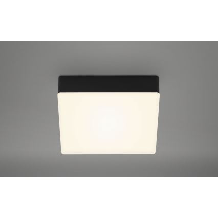 Briloner 7069-015 - LED taklampa LED/11W/230V svart