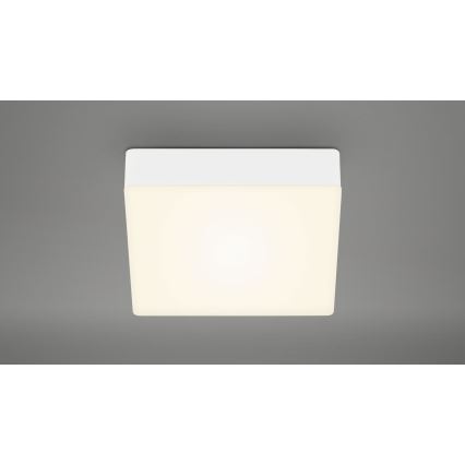 Briloner 7069-016 - LED taklampa LED/11W/230V vit