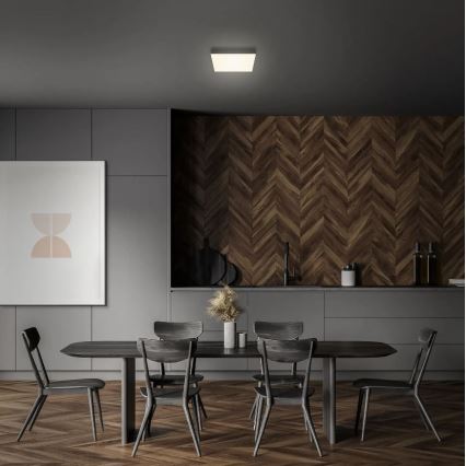 Briloner 7070-015 - LED taklampa FLAME LED/16W/230V svart