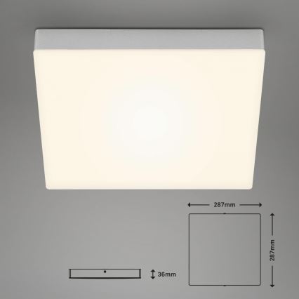 Briloner 7071-014 - LED taklampa FLAME LED/21W/230V 3000K 28,7x28,7 cm silver