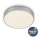 Briloner 7073-414 - LED taklampa STAR SKY LED/16W/230V 4000K diameter 21 cm silver