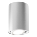 Briloner 7119-014 - LED spotlight TUBE 1xGU10/5W/230V rund