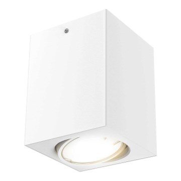 Briloner 7120-016 - LED spotlight TUBE 1xGU10/5W/230V vinklat