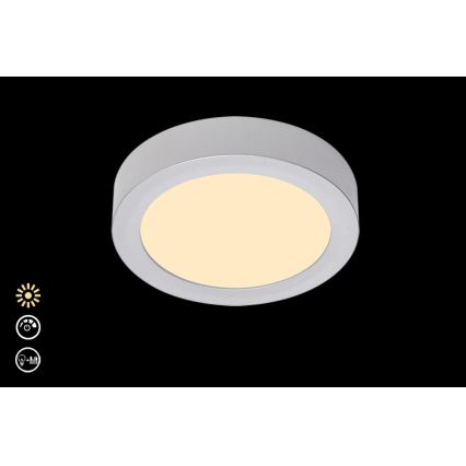 Briloner 7124-014 - LED Dimbar taklampa FIRE LED/12W/230V 3000K