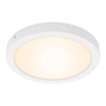 Briloner 7141-016 - LED taklampa FIRE LED/21W/230V