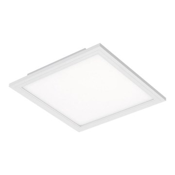 Briloner 7191-016 - LED taklampa  SIMPLE LED/12W/230V