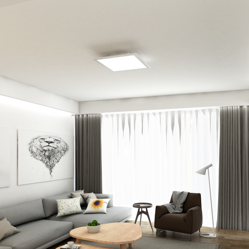 Briloner 7191-016 - LED taklampa  SIMPLE LED/12W/230V