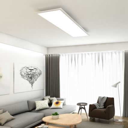 Briloner 7193-016 - LED ytmonterad panel LED/38W/230V 4000K