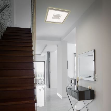 Briloner 7367-112 - LED taklampa GEO LED/22W/230V
