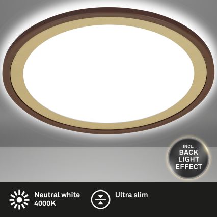 Briloner 7454-417 - LED taklampa DECO LED/18W/230V