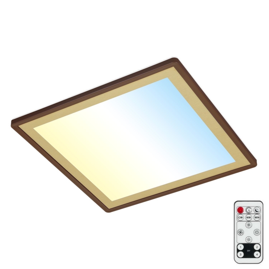 Briloner 7459-417 - LED Dimbar taklampa DECO LED/24W/230V 2700-6500K + fjärrkontroll