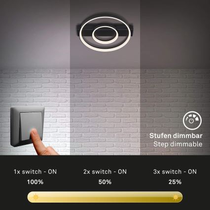 Briloner - Dimbar LED ytmonterad ljuskrona FRAME LED/24W/230V