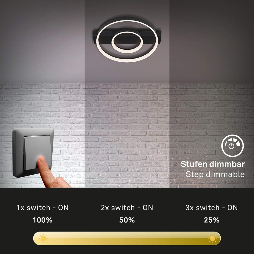 Briloner - Dimbar LED ytmonterad ljuskrona FRAME LED/24W/230V