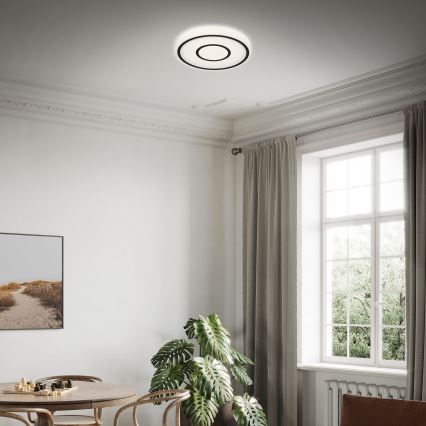 Briloner - LED taklampa SIRKEL LED/12W/230V svart